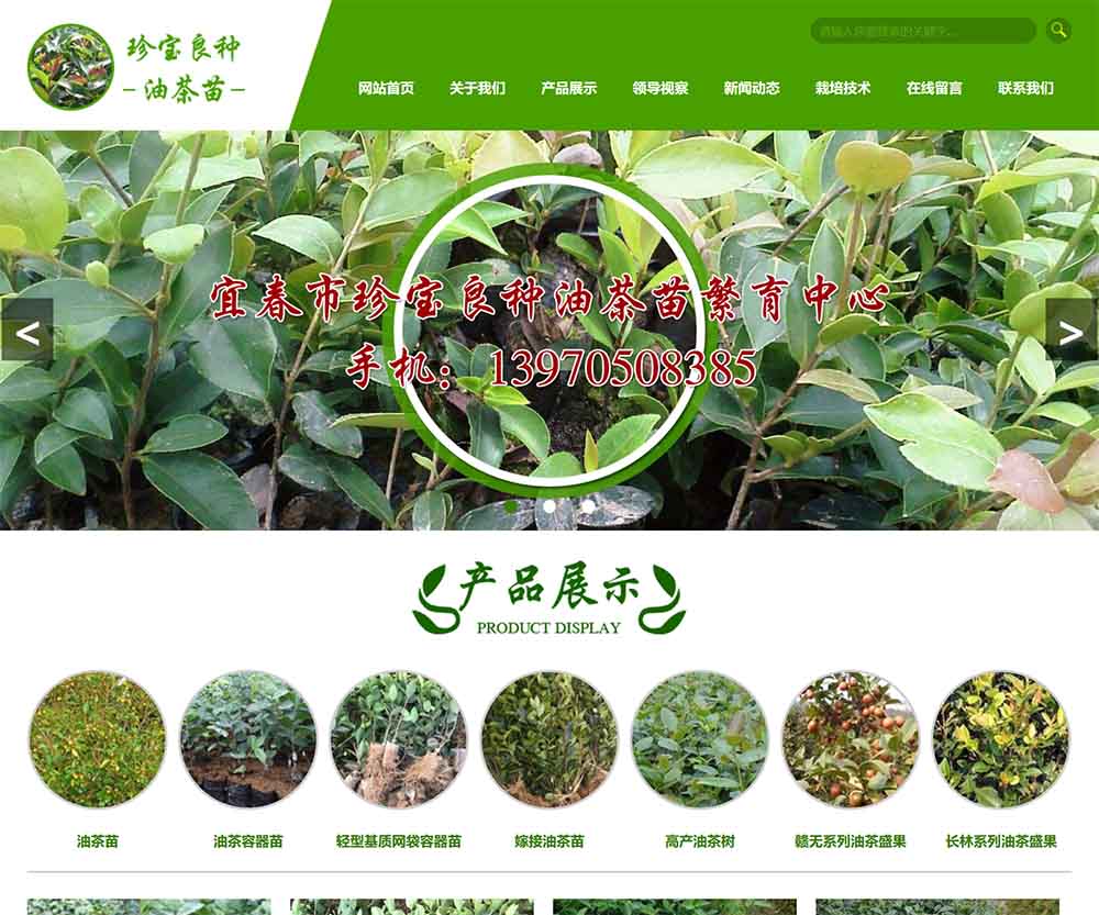 宜春市珍宝良种油茶苗繁育中心